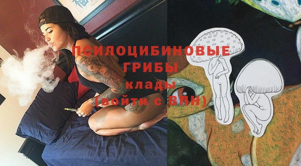 прущая мука Арсеньев