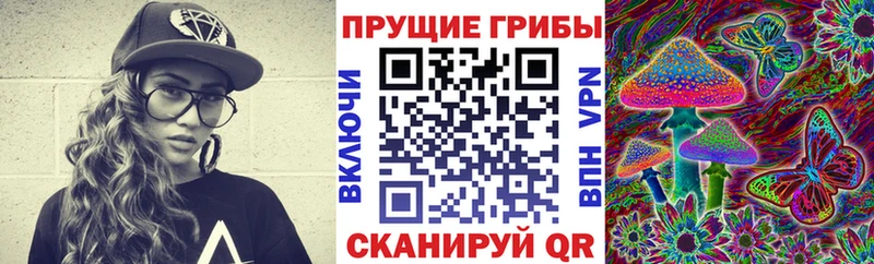 Псилоцибиновые грибы прущие грибы  как найти закладки  Карабаш 